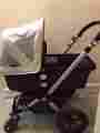 111301 Cameleon Bugaboo Single Seat Stroller