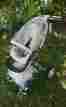 180204 Xplory Stokke Brand New V4 Stroller Beige Melange Standard Single Infant Toddler