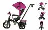 302-apin Parent Push Tricycle For Kids Stroller Trike Convertible Swivel