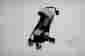 622.01.grph Recaro Easylife Ultra-lightweight Foldable Compact Infant Stroller Graphite Baby 882854993208
