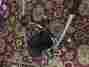 69653000 Zapp Quinny Extra Standard Single Seat Stroller 69653000 Zapp Quinny Extra Standard Single Seat Stroller