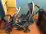 6l02tan3 Duoglider Graco Tango Standard Double Seat Stroller