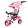 7501sky Nickelodeon Kidsembrace Paw Patrol Skye Stroller Tricycle Open 811722011614