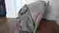 7556plus Serengetti Babytrend Tan Plaid Beige Canopy Hood Shade Baby Trend Sit N Stand Plus Lx Double Stroller