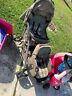 Eb01068bld Eddie Bauer Green Standard Double Seat Stroller