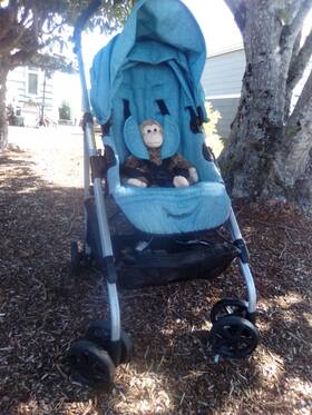 14112423 Evenflo Reversi Reversible Lightweight Compact Baby Stroller Blue