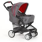 Stroller 2 Years Burst Day Tomy