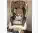 Tr151rbk Explorer Safety 1st Redbrook Travel System Single Seat Stroller