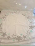 Lilly & Dan Baby Pram Car Seat Blanket Grey Green Star Print Comforter?. Fixed Price $10.90.