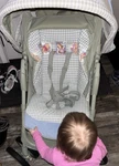 Winnie The Pooh & Friends Graco Green Folding Stroller Canopy Single Seat. Fixed Price $600.00.