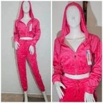 Bubble Gum Pink 2 Pc Velour Set Cropped Jacket And Jogger. Fixed Price $25.00.
