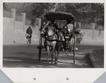A4102 Peshawar Pakistan Tonga Horse Carriage Street Transport Vintage Travel. Fixed Price $42.00.