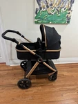 Black Gold Carriage Stroller Folding Bassinet Adjustable Handles Infant. Fixed Price $132.30.