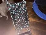 Cosco Comfort Height Umbrella Stroller, Freshwater Turquoise. Fixed Price $33.00.