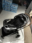 Graco Black Single Stroller Traditional Five-point Harness Infant Toddler. Fixed Price $70.00.