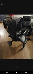 Chicco Bravo Standard Stroller Gray/black Single Seat Cup Holder Canopy. Fixed Price $77.00.