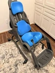 Special Tomato Large Hi-low Multi Positioning Seat-adaptive, Aid, Mobility Chair. Fixed Price $1375.00.