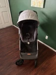 Stokke Scoot Stroller. Fixed Price $350.00.