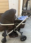 Chicco Urban Carriage Stroller Brown Black Teal Folding Adjustable Handles. Fixed Price $79.00.