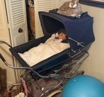 Silver Cross Kensington Navy Carriage Single Seat Stroller. Fixed Price $1099.00.