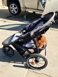 Graco Fastaction Fold Jogger Stroller - Gotham. Fixed Price $150.00.