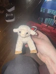 Ewey Ty Basket Beanies Baby The Bunny Easter Stuffed Retro Lamb 2001. Fixed Price $6.00.