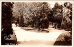 Postcard Rppc Tacoma Washington Wright Park Woman Stroller Andrews Baker T13. Fixed Price $7.50.