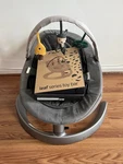 Nuna Leaf Grow Swing. Fixed Price $230.00.