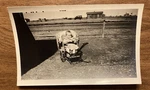 Vintage 1920S Baby Toddler Infant Child Stroller Carriage Real Photo P10B8. Fixed Price $9.99.