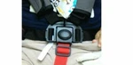 5 Point Clip Buckle Safety Harness Straps Part For Schwinn Baby Strollers Boy. Fixed Price $19.99.